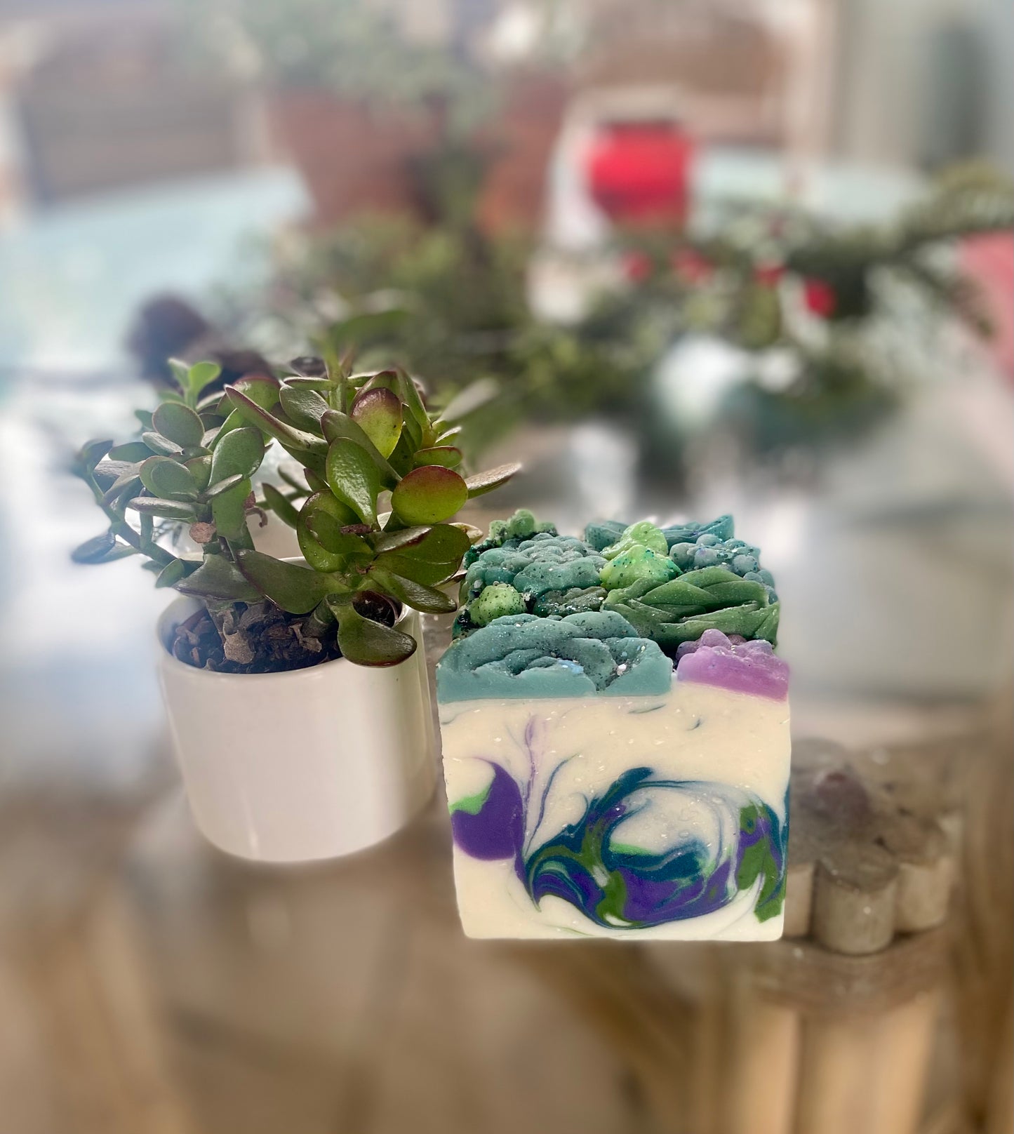 Succulent Garden