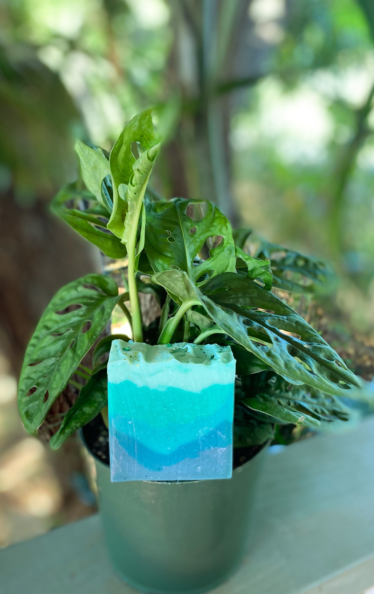Rosemary & Mint